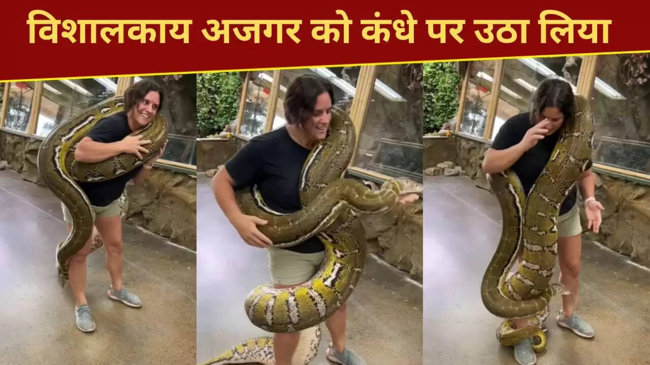 महिला ने उठाया विशाल अजगर, सोशल मीडिया पर मच गया हंगामा