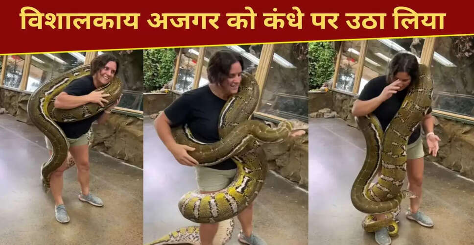 महिला ने उठाया विशाल अजगर, सोशल मीडिया पर मच गया हंगामा