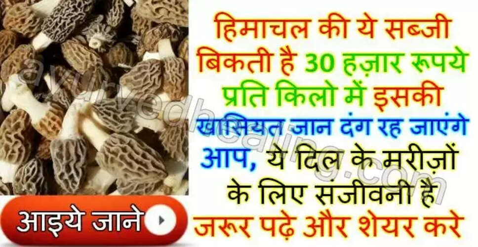 गुच्छी: दिल के मरीजों के लिए एक अनमोल सब्जी