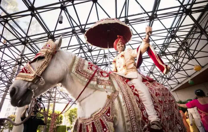 दूल्हे की घोड़ी चढ़ने की परंपरा: महत्व और कारण