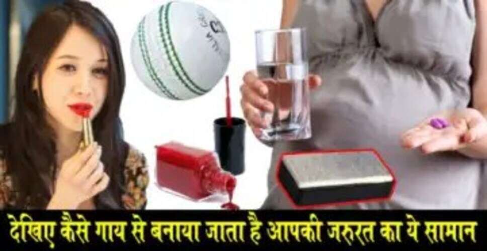 भारत में कत्लखानों का सच: मांस, तेल और अन्य उत्पादों का व्यापार