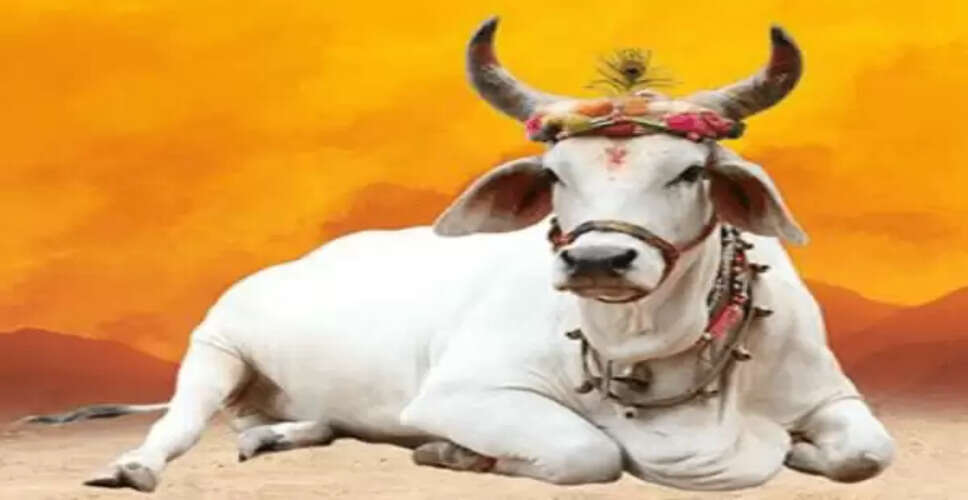 अच्छे समय के संकेत: जानें कैसे पहचानें शुभ अवसर
