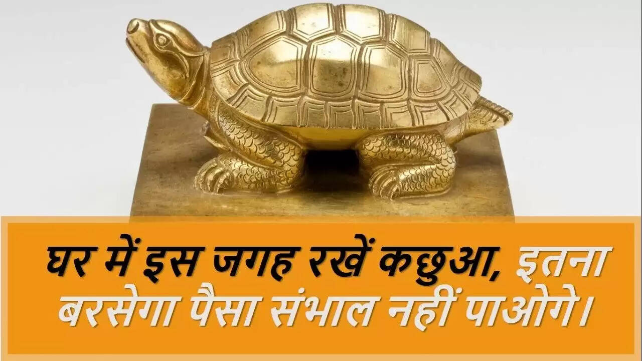 कछुए की मूर्ति लगाने के सही तरीके: वास्तु के अनुसार दिशा का ध्यान रखें