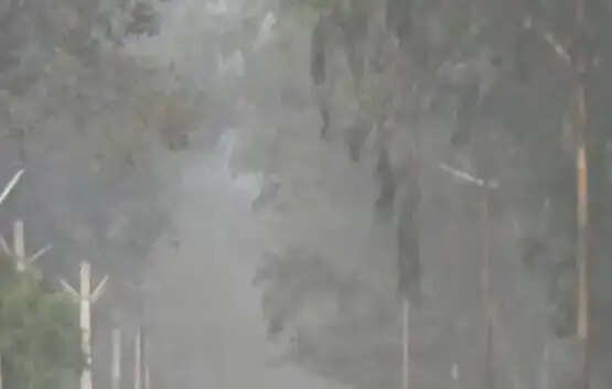 मुजफ्फरनगर में मौसम में बदलाव: हल्की बारिश के बाद धुंध का असर