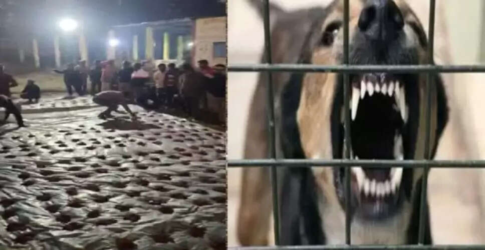 छत्तीसगढ़ के गांव में रेबीज संक्रमित बकरों की बलि से दहशत का माहौल