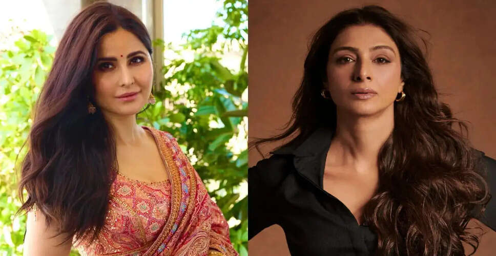 कैटरीना कैफ की फिल्मी वापसी की चर्चा, क्या बनेगा 'चांदनी बार 2'?