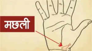 हाथों में भाग्य के संकेत: जानें कौन से चिन्ह लाते हैं सुख और समृद्धि