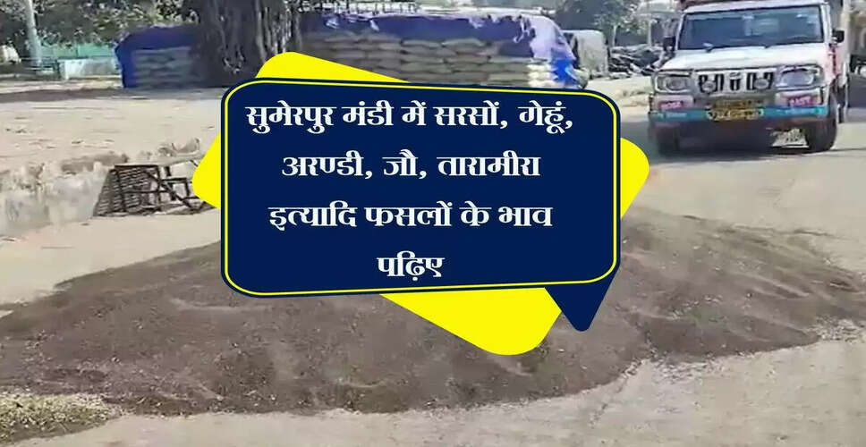 सुमेरपुर मंडी में कृषि जिंसों के भाव में बढ़ोतरी