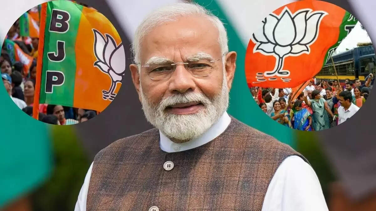 प्रधानमंत्री मोदी ने दमन, दीव और दादरा-नगर हवेली में BJP की जीत पर जताई खुशी