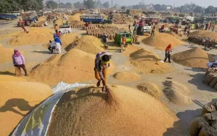 धान खरीदी प्रक्रिया शुरू, कर्मचारियों पर लागू हुआ ESMA