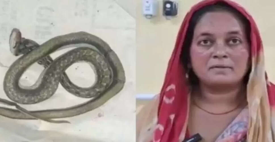 गुजरात में महिला ने अस्पताल में लाया मरा हुआ सांप, डॉक्टरों को किया हैरान