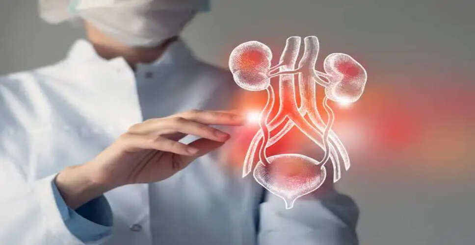 किडनी डोनेशन: जानें इसके फायदे और सावधानियां