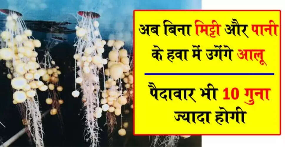 हरियाणा में एरोपोनिक तकनीक से आलू उत्पादन में क्रांति