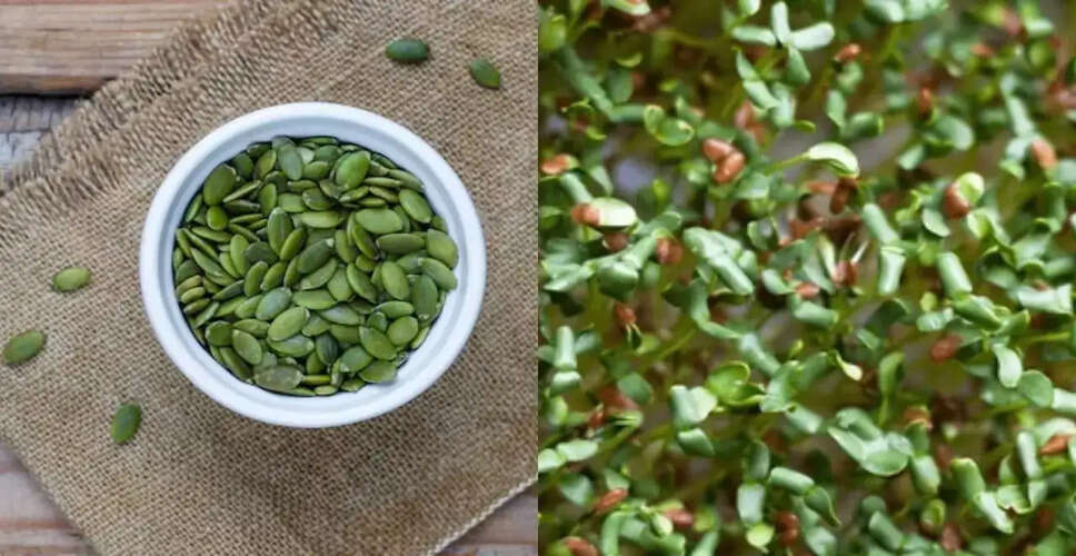 हरी सीख: अस्थमा, गठिया, लिवर और किडनी के लिए चमत्कारी उपाय