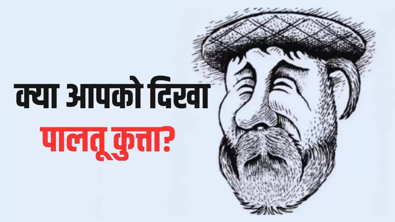 क्या आप छिपे कुत्ते को ढूंढ सकते हैं? यह ऑप्टिकल इल्यूजन आपको चुनौती देगा