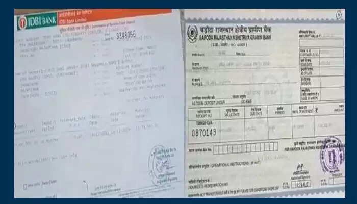 राजस्थान की गौशाला में लखपति गायों की अनोखी परंपरा