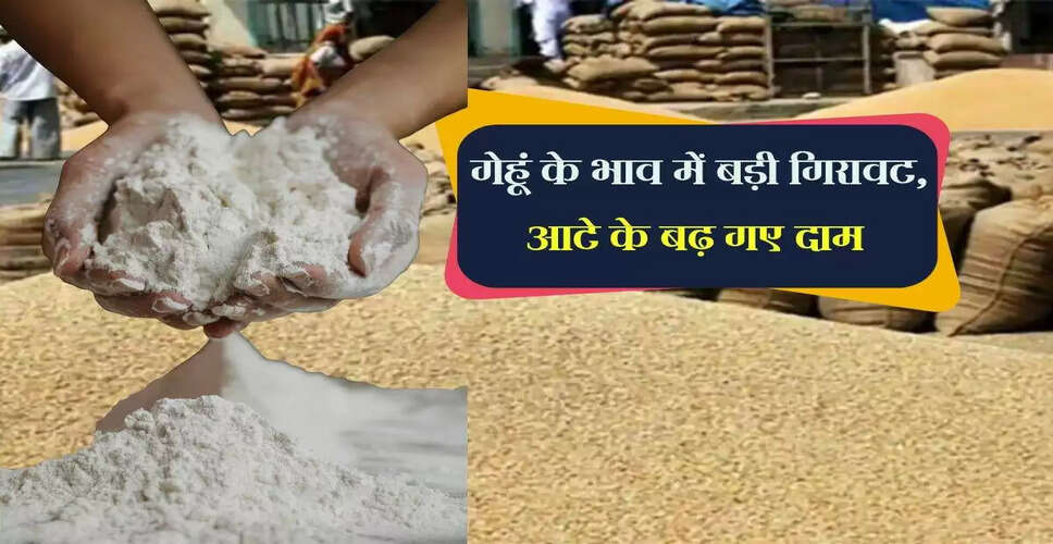 गेहूं और आटे की कीमतों में असमानता: जानें ताजा रेट्स