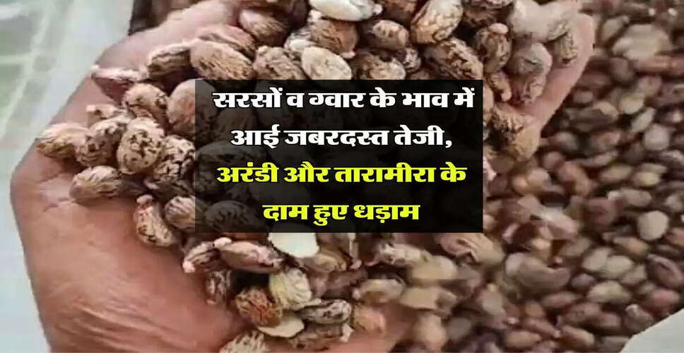सुमेरपुर मंडी में कृषि उत्पादों के भाव में वृद्धि