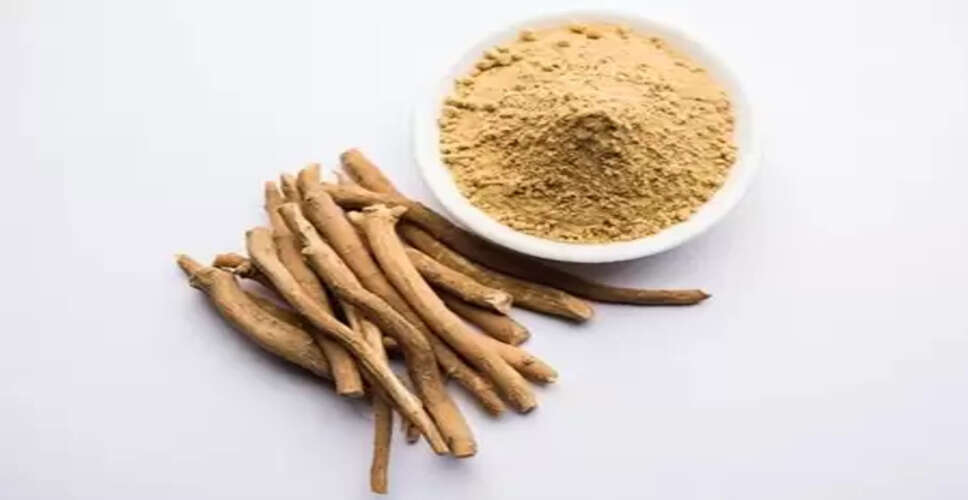 इम्यूनिटी को बूस्ट तो शरीर को रिचार्ज करती हैं ये जड़ी बूटियां