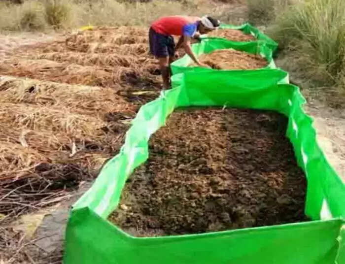 गाय के गोबर से बनी जैविक खाद से किसानों को मिल रहा लाभ