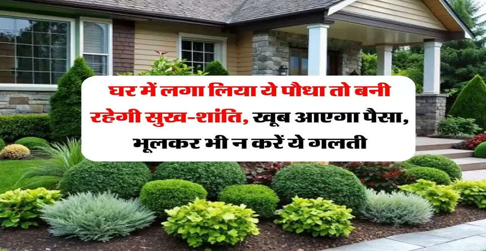 तुलसी पूजा के नियम: घर में सुख-शांति और समृद्धि के लिए जानें सही तरीके