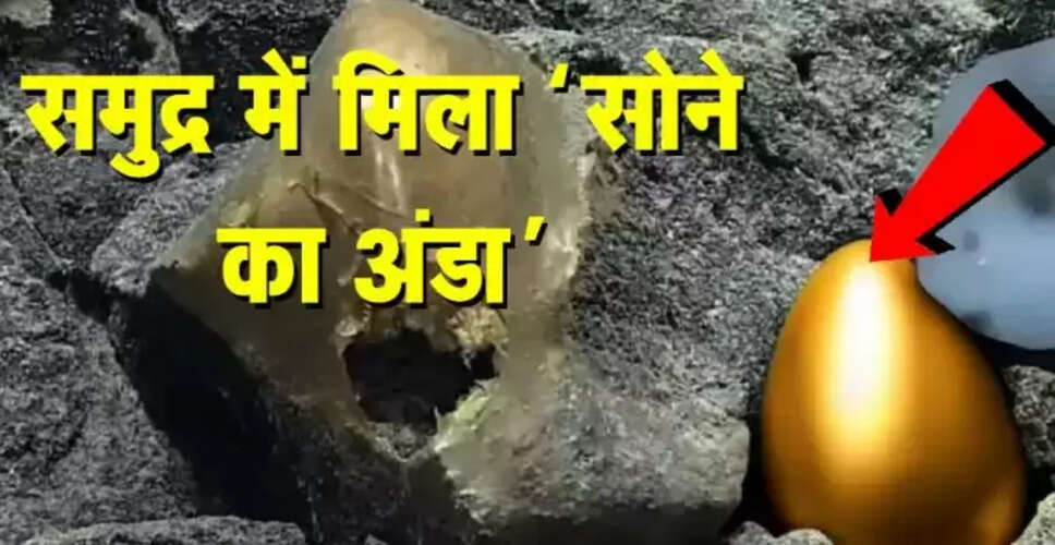 समुद्र में मिला रहस्यमय 'सोने का अंडा', वैज्ञानिकों की खोज जारी