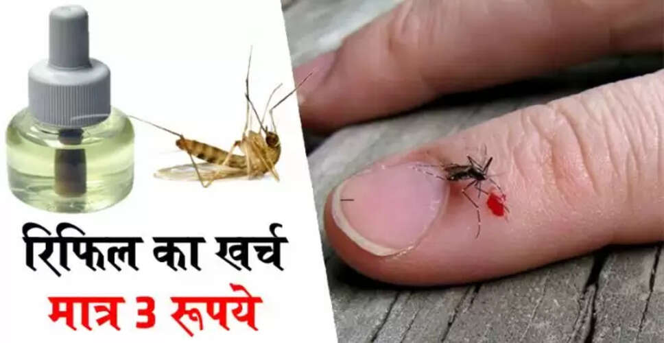 घर पर बनाएं मच्छर भगाने वाला लिक्विड, बचत भी होगी