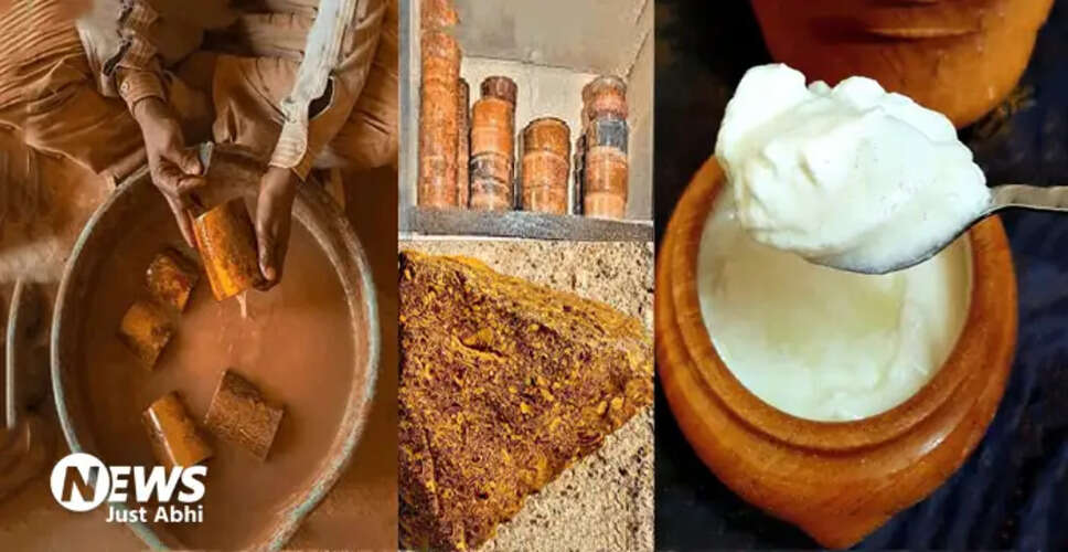 राजस्थान का जादुई पत्थर: दूध को दही में बदलने की अद्भुत क्षमता