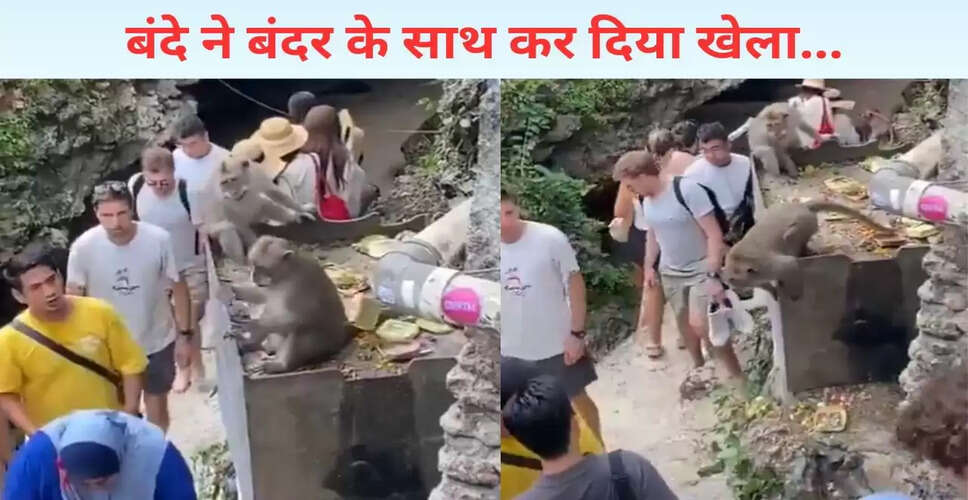 बंदर की शरारत: चश्मा छीनने का मजेदार वीडियो वायरल
