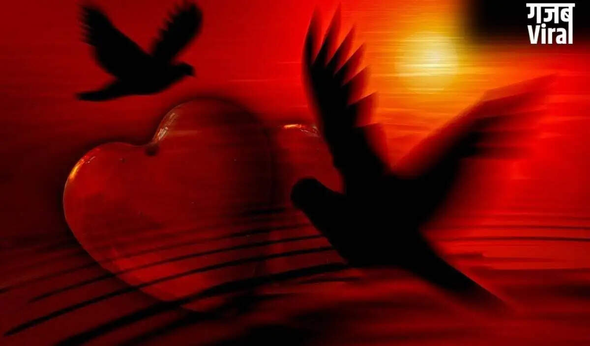 11 मई 2026 का प्रेम राशिफल: जानें आपके लिए कैसा रहेगा आज का दिन