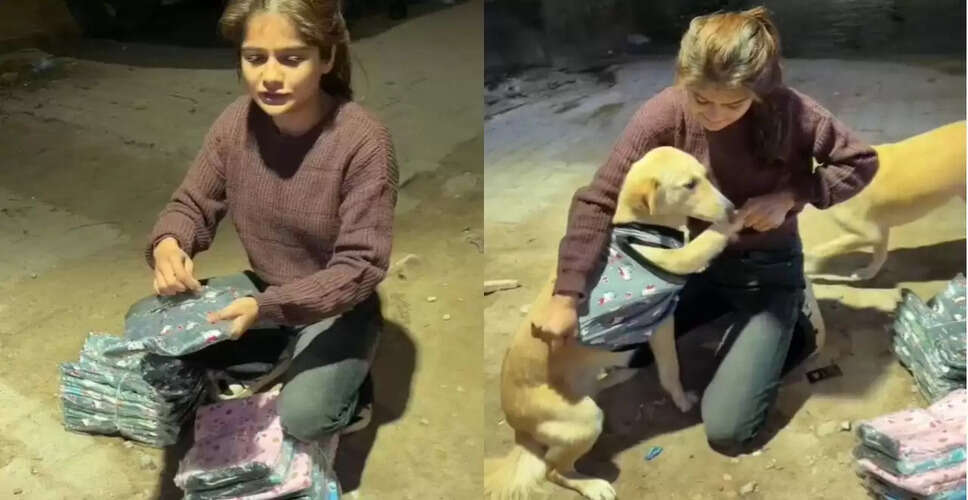लड़की ने आवारा कुत्तों के लिए दिखाई इंसानियत, वायरल हुआ वीडियो