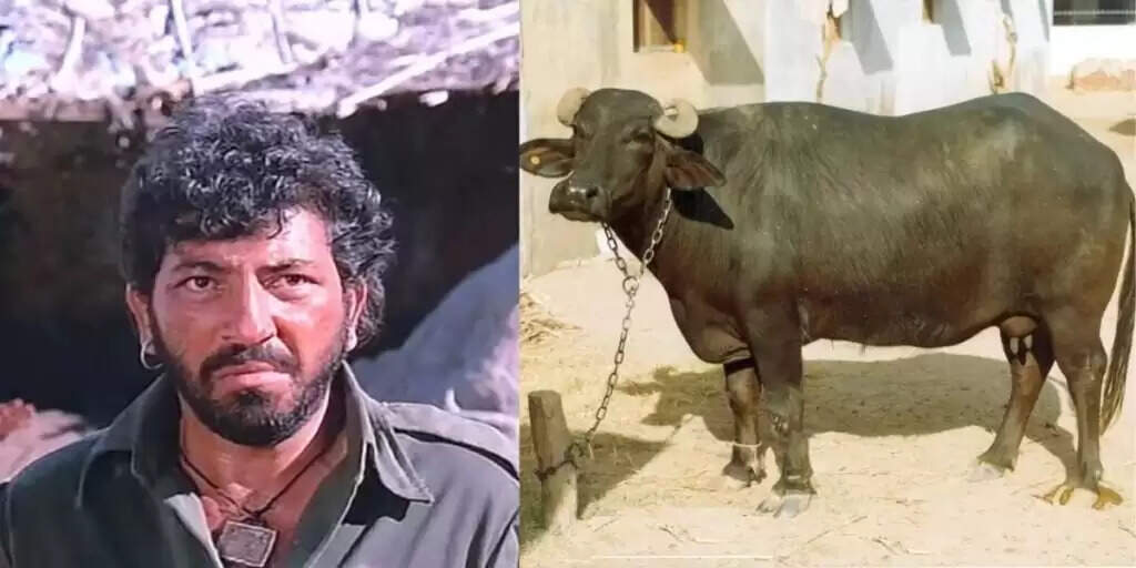 अमजद खान की चाय प्रेम की अनोखी कहानी