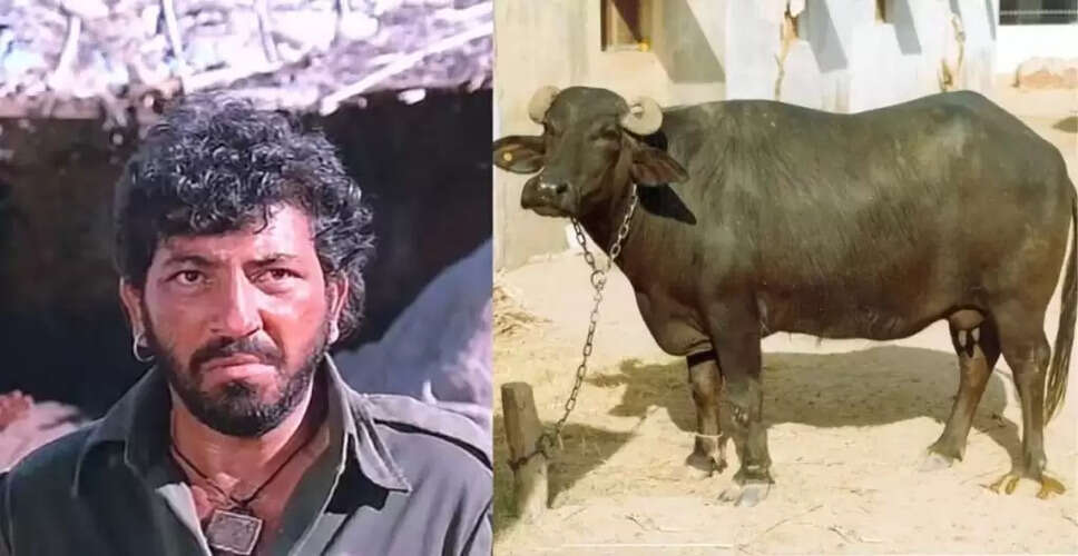 अमजद खान की चाय प्रेम की अनोखी कहानी