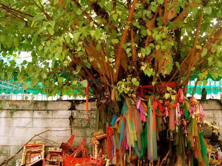शनिवार को दीपक जलाने के लाभ: चार विशेष स्थानों पर करें पूजा