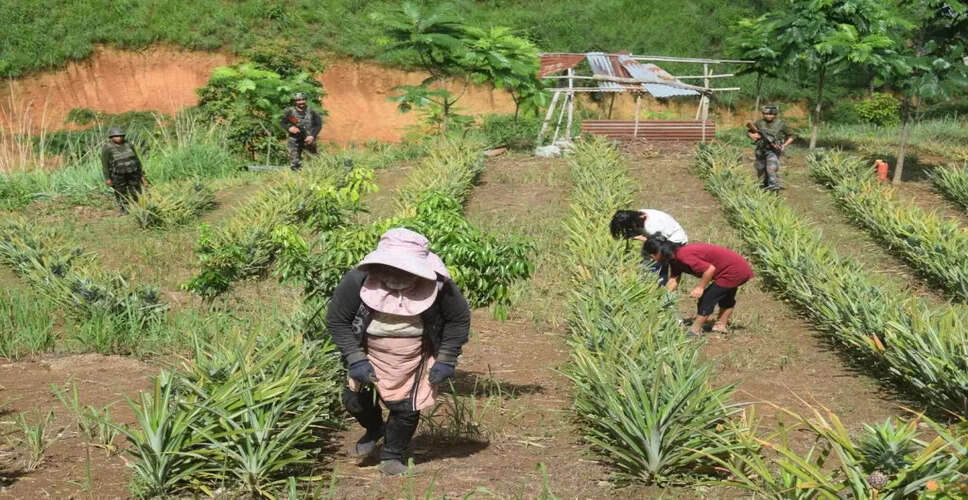 मणिपुर में किसानों की सुरक्षा के लिए सुरक्षा व्यवस्था को मजबूत किया गया