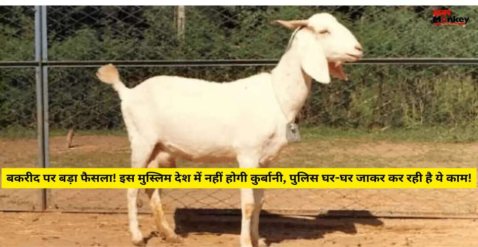 मोरक्को में बकरीद पर कुर्बानी पर प्रतिबंध: धार्मिक विवाद और जनाक्रोश