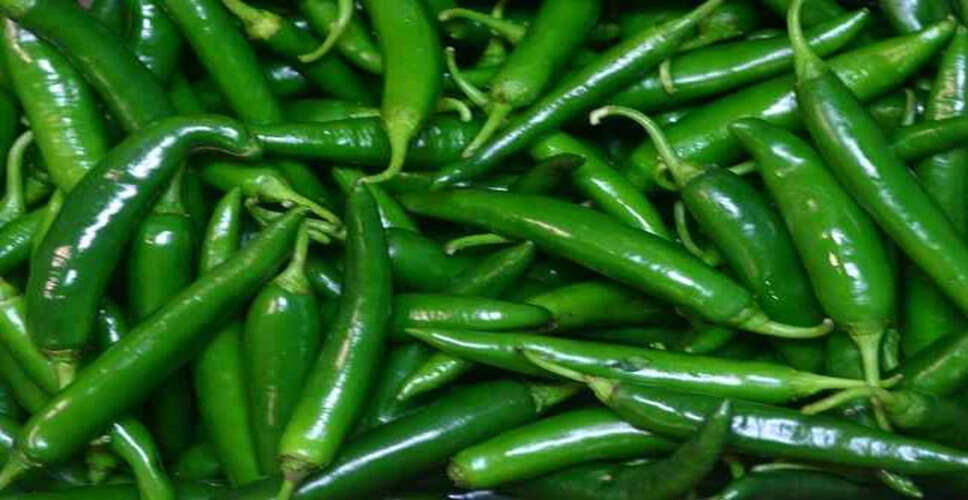 हरी मिर्च के स्वास्थ्य लाभ: जानें इसके फायदे