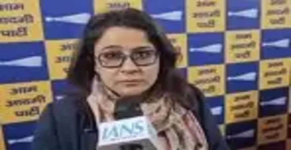 अमित शाह के बयान पर 'आप' प्रवक्ता का पलटवार, कहा - 'दिल्ली में आपदा भाजपा पर'