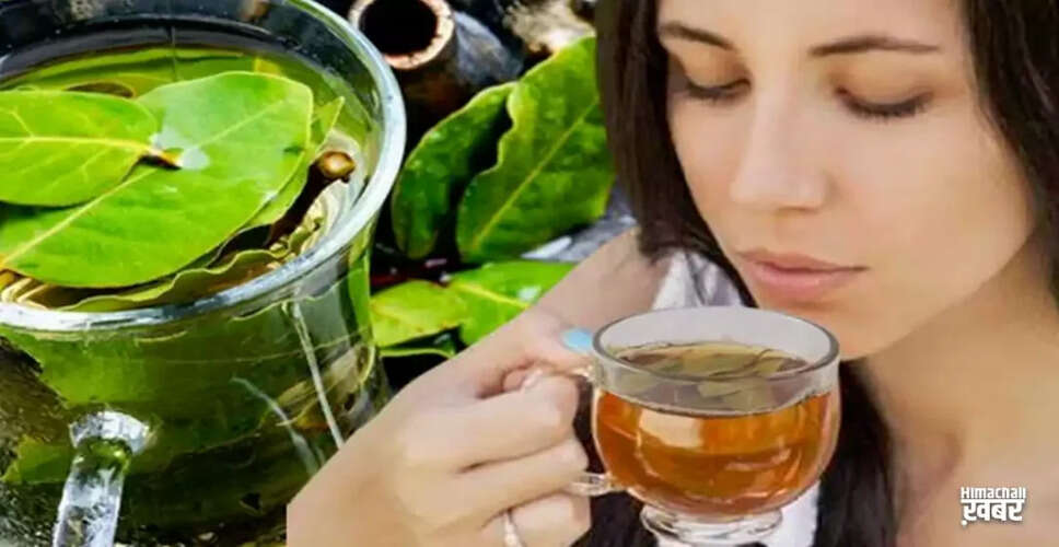 तेज़ पत्ते के काढ़े के अद्भुत स्वास्थ्य लाभ