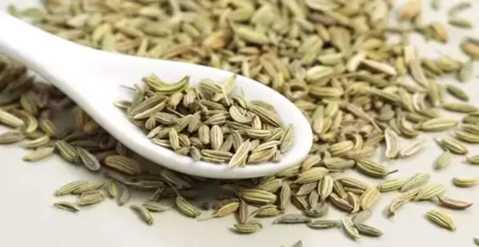 सौंफ खाने के फायदे: छोटे से बीज में छुपे सेहत के बड़े राज, जानिए क्या कहती है वैज्ञानिकों की रिसर्च
