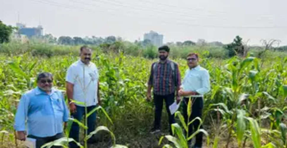 प्रधानमंत्री अनुसंधान फेलोशिप के तहत चयनित अंशुल करेंगे मक्का पर रिसर्च वर्क, पीएम मोदी को बताया किसान हितैषी