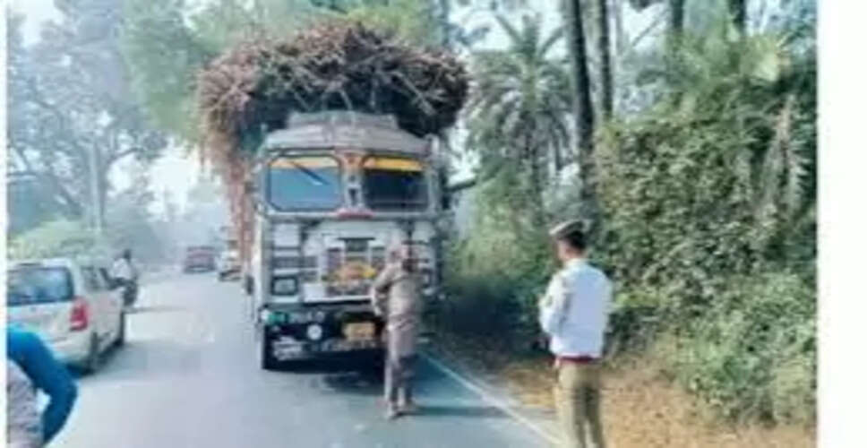 जयपुर में 200 जंगली सूअरों से भरा ट्रक पकड़ा गया