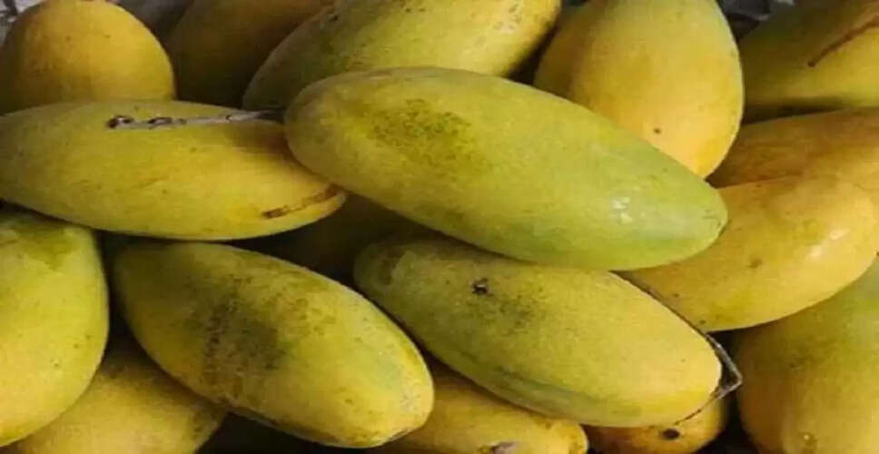 उत्तर प्रदेश से दुबई के लिए दशहरी आम का निर्यात
