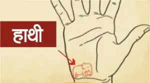 हाथों में भाग्य के संकेत: जानें कौन से चिन्ह लाते हैं सुख और समृद्धि