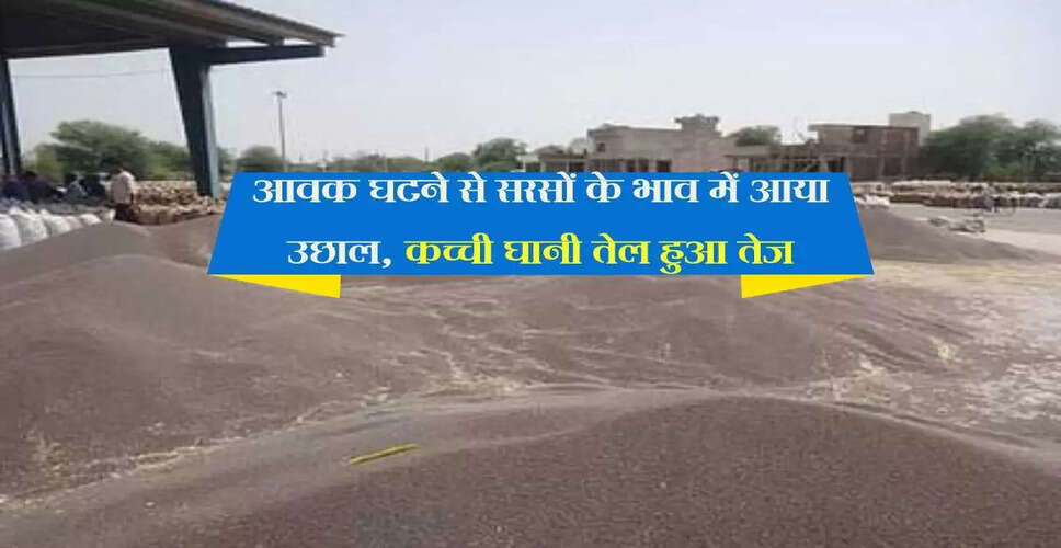 जयपुर मंडी में सरसों के भाव में वृद्धि, अन्य कृषि जिंसों में स्थिरता