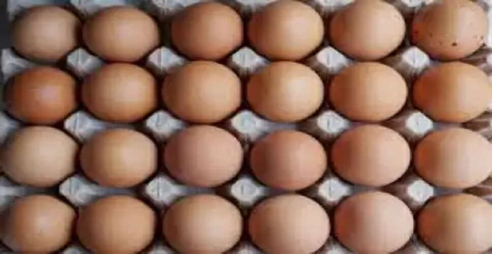 बर्ड फ्लू के प्रकोप से अमेरिका में अंडे की कीमतों ने तोड़ा रिकॉर्ड