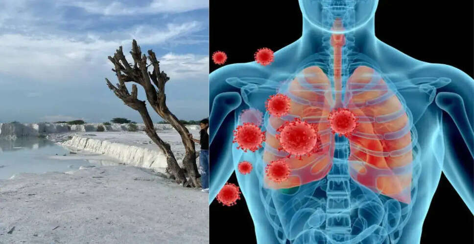 राजस्थान में पर्यटकों के लिए खतरनाक सफेद परिदृश्य