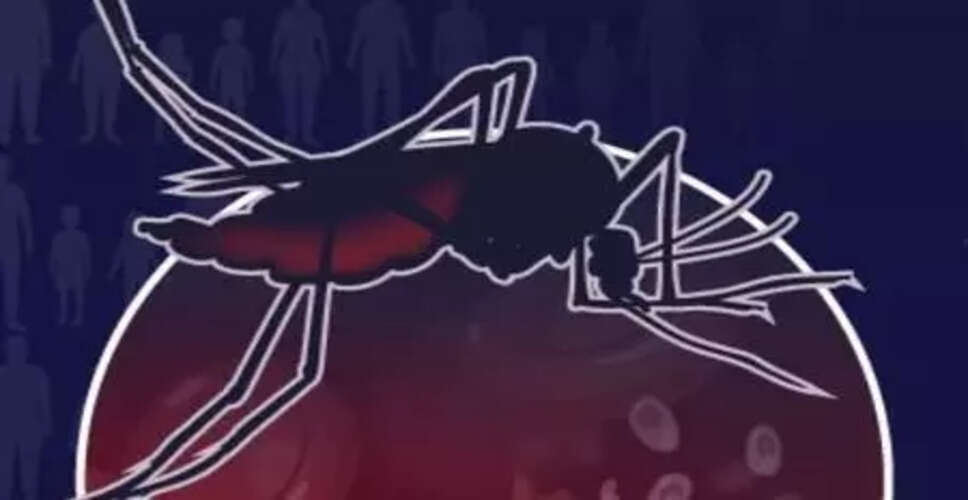 मलेरिया: 2024 में 282 मिलियन लोग प्रभावित, WHO की रिपोर्ट में प्रमुख चुनौतियाँ