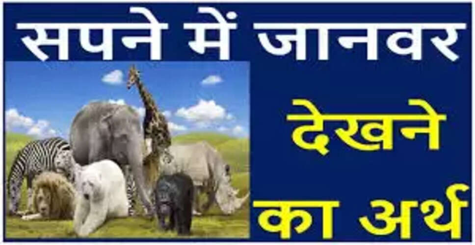 सपनों में जानवरों के संकेत: धन लाभ के संकेत