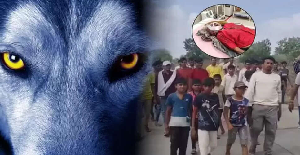 मध्य प्रदेश में रहस्यमयी जानवर का आतंक: 17 लोग घायल, 6 की मौत